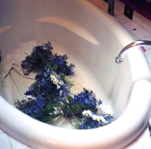 C-M Flower-Bathtub